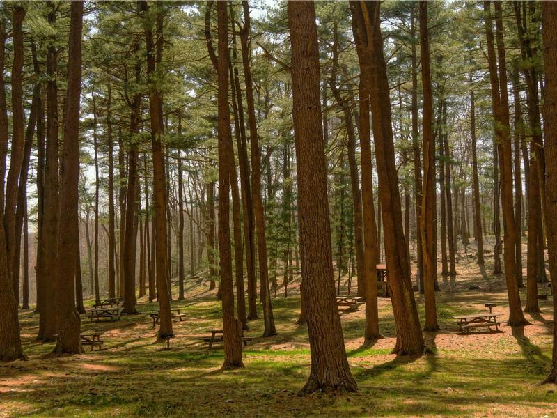 sudoku national contest