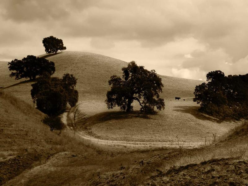 sudoku chain solving screenshot 3