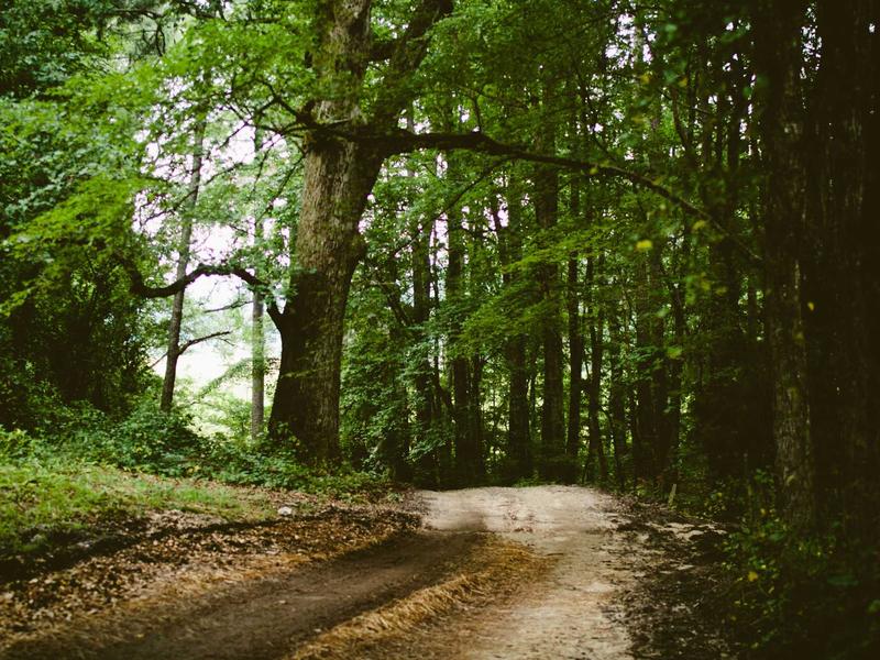 sudoku national contest screenshot 4